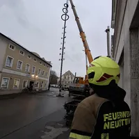 1000087360.jpg
