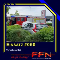 050.jpg